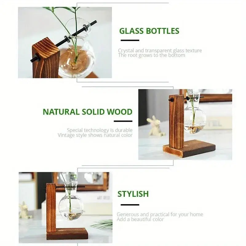 Vintage wood and two bulb vases desktop office plant propagation station