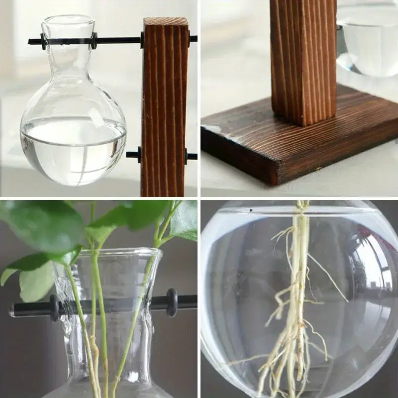 Vintage wood and two bulb vases desktop office plant propagation station