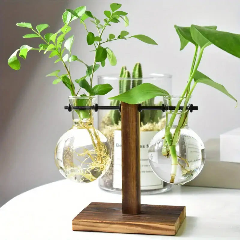 Vintage wood and two bulb vases desktop office plant propagation station