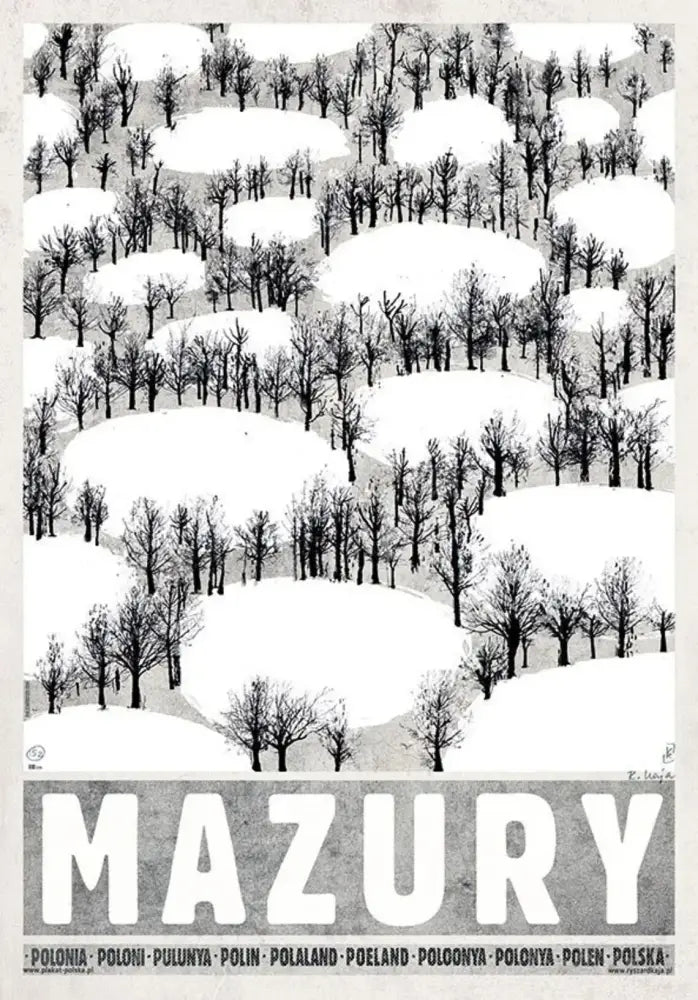 Vintage mazury forest canvas wall art living room poland city posters
