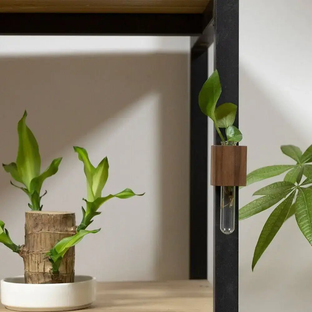 Modern dark wood magnetic test tube vase living room wall decor