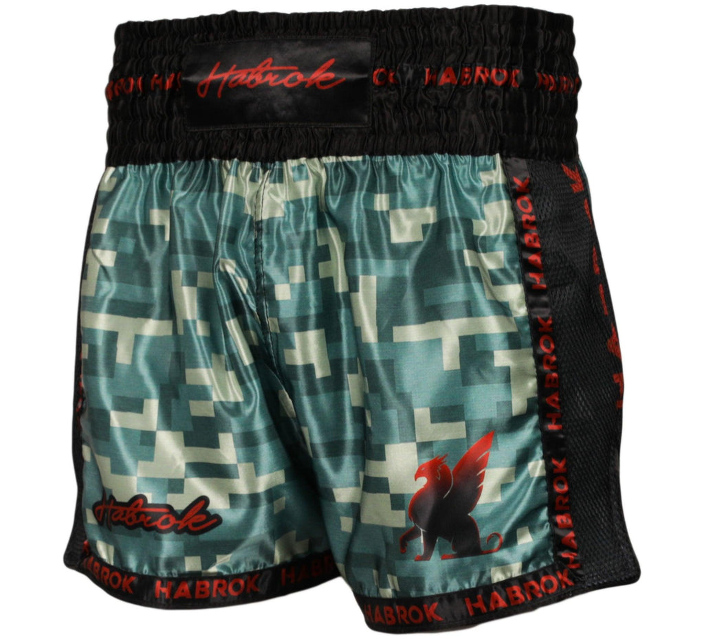 DEFCON 2 | MUAY THAI SHORTS | MMA SHORTS