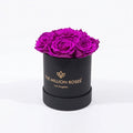 Essence Black Box | Bright Purple Roses