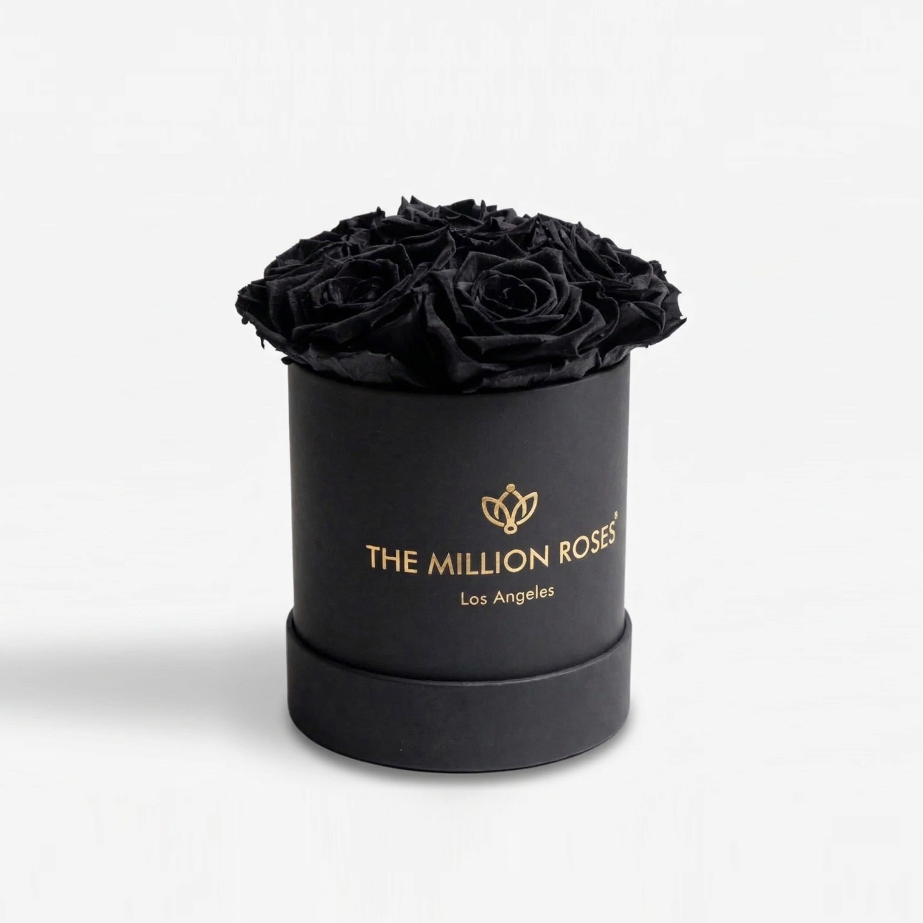 Essence Black Box | Black Roses