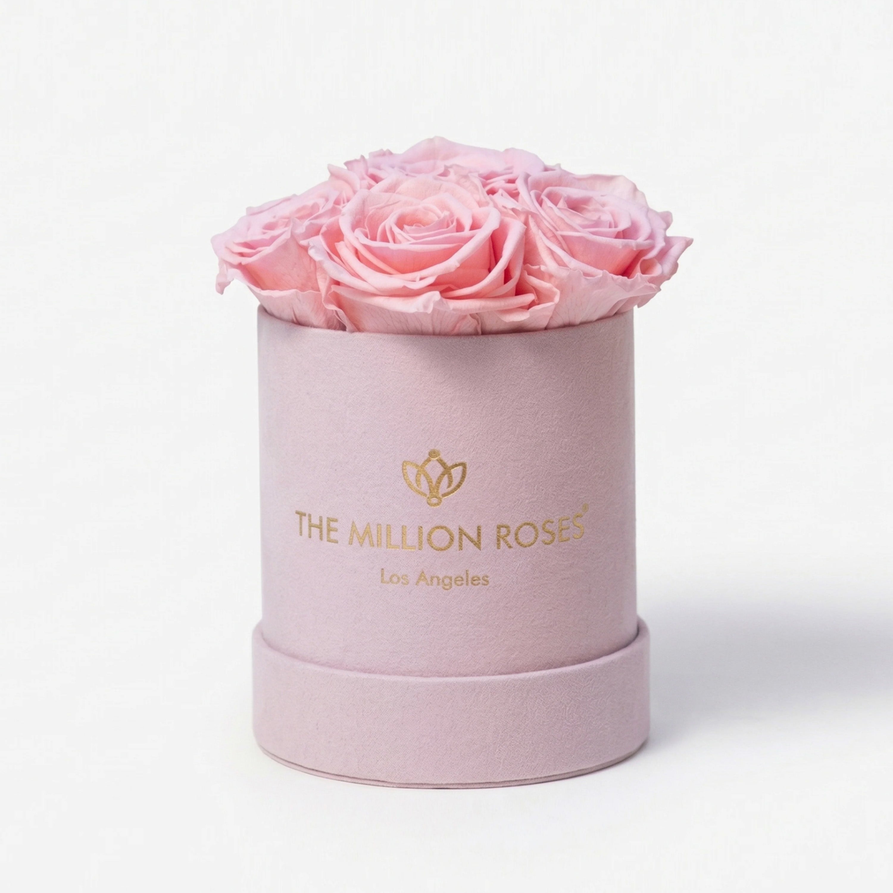 Essence Light Pink Suede Box | Light Pink Roses
