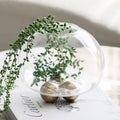 Geometric golden ball glass vase living room floral decor