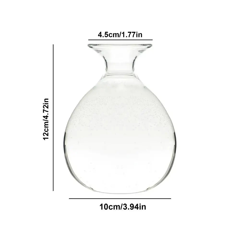 Clear glass avocado seed vase set of 4 kitchen hydroponic decor