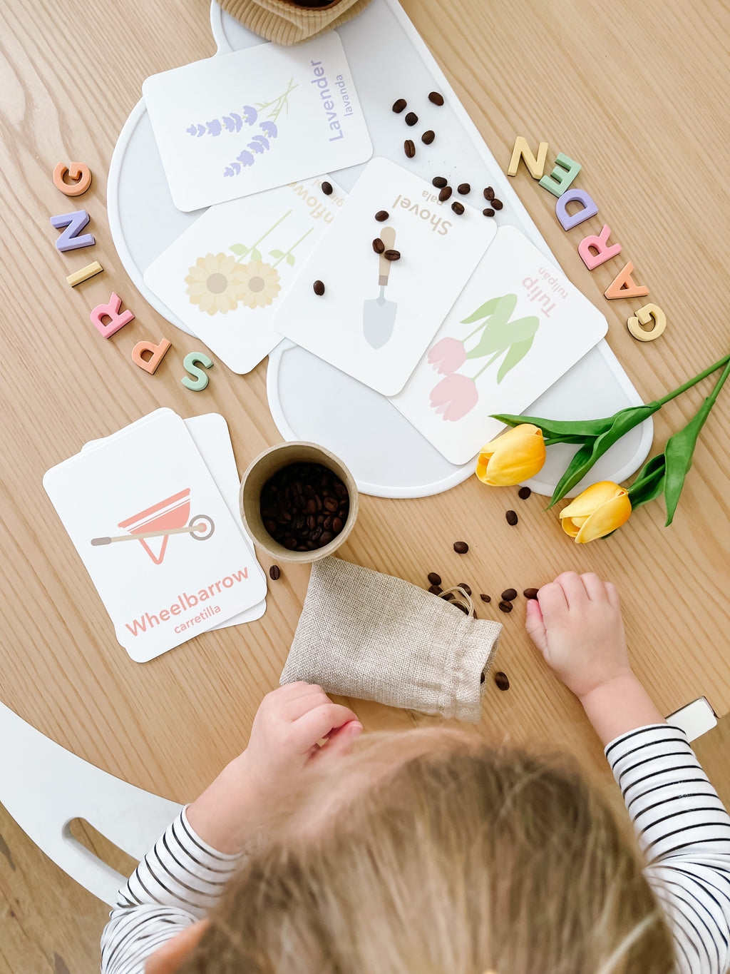 Flower Garden Flashcards