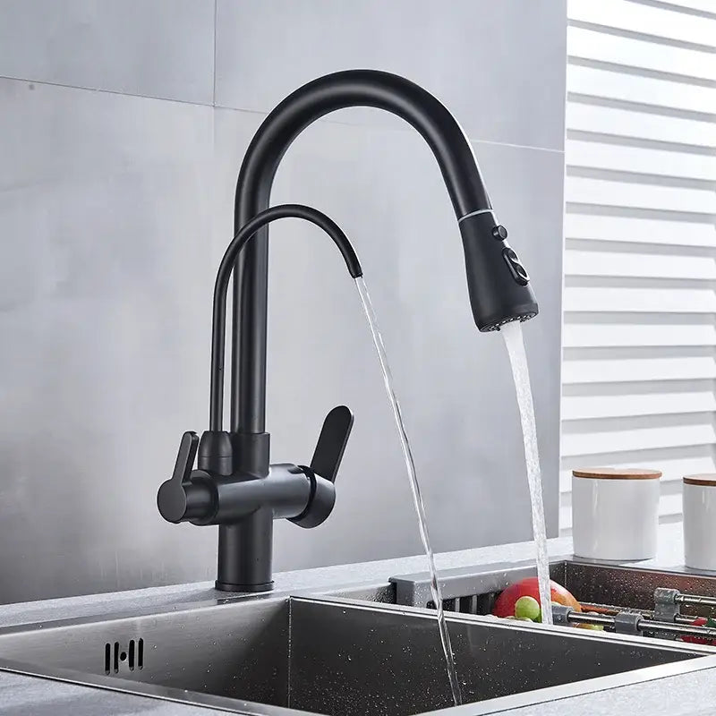Matte black dual spout kitchen water filter faucet 360 rotation