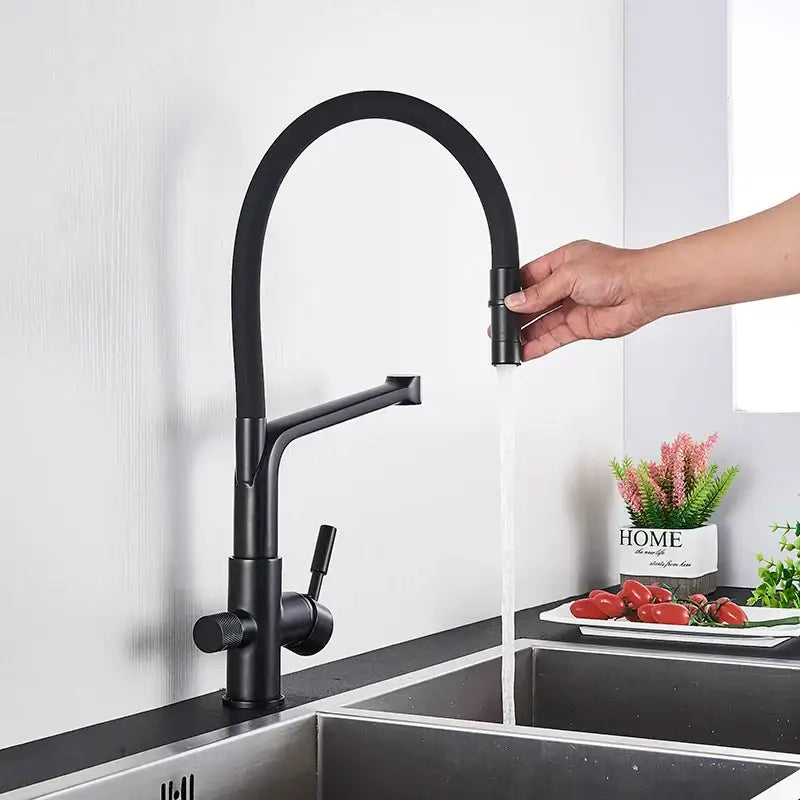Matte black dual spout kitchen water filter faucet 360 rotation