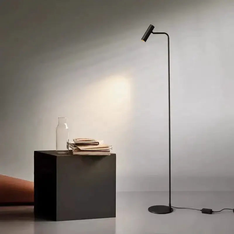 Minimalist black decorbites brass floor light bedroom curved lamp