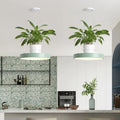 Mint green brooklyn round macaron pendant light with kitchen planter