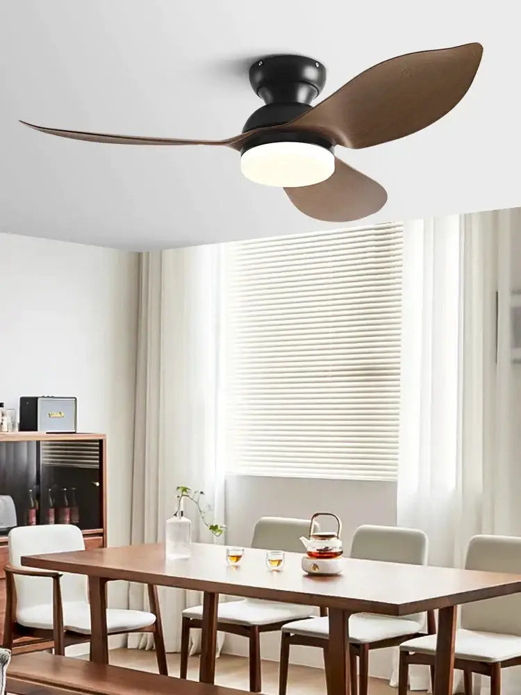 Modern black & brown low floor ceiling fan led light living room