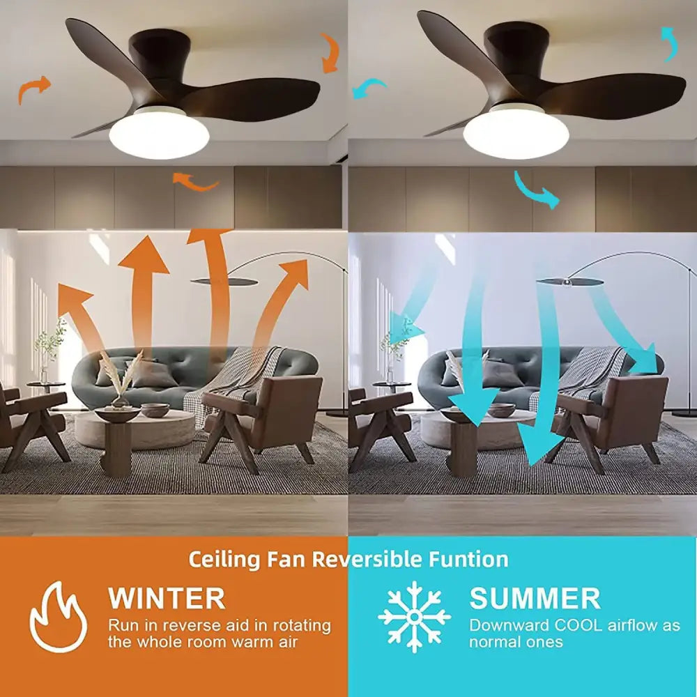 Modern black ceiling fan lamp for living room with remote control