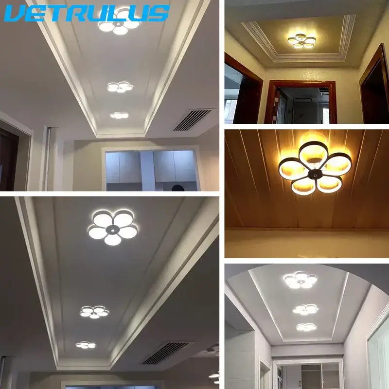 Modern black & gold acrylic flower twisted ceiling lamp living room