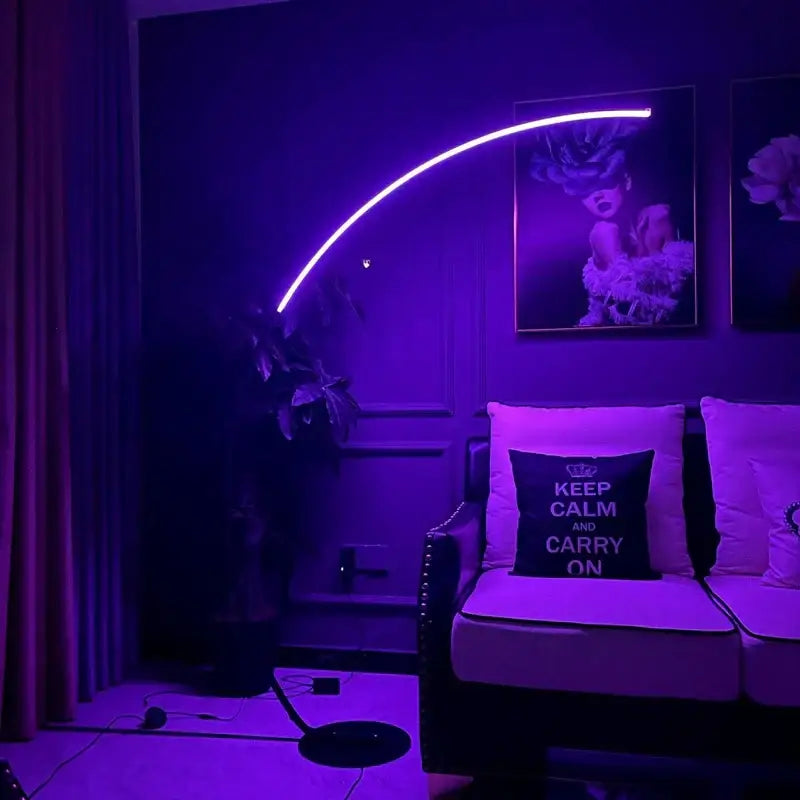Modern black minimalist arc floor lamp for living room dimmable led