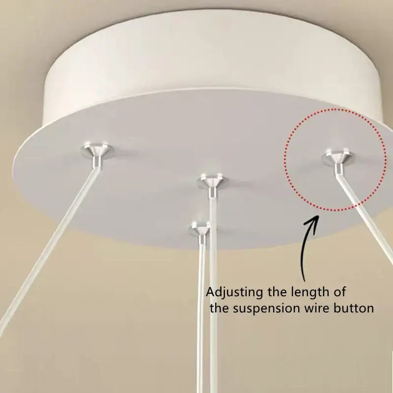 Modern black & white circular iron ball pendant – living room light