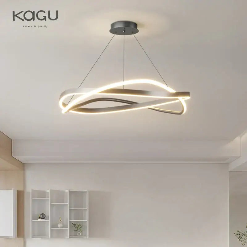 Modern black & white circular led pendant ceiling lamp living room