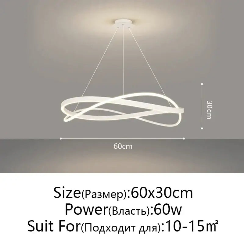 Modern black & white circular led pendant ceiling lamp living room