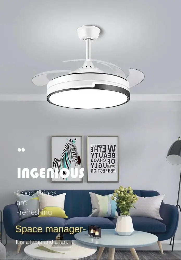 Modern black & white copper ceiling fan with led light bedroom