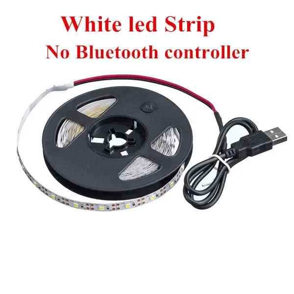 Modern bluetooth rgb led strip light bedroom app control decorbites