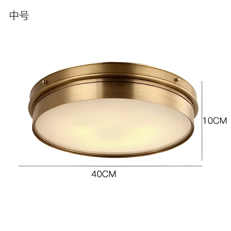 Modern brass led ceiling light for living room with frosted glass