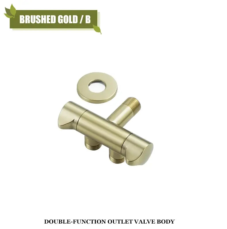 Modern brushed gold angled dual outlet toilet filling valve bathroom