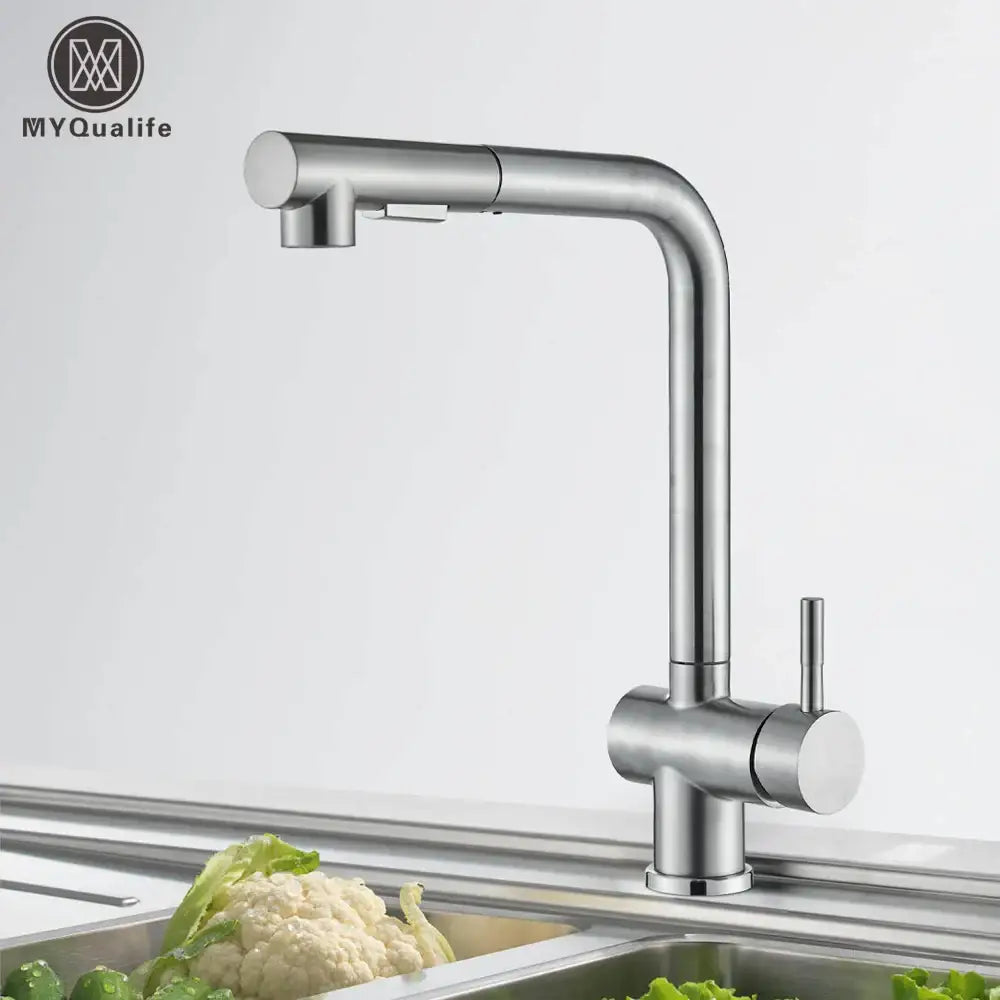 Modern brushed nickel kitchen faucet with dual spray nozzle