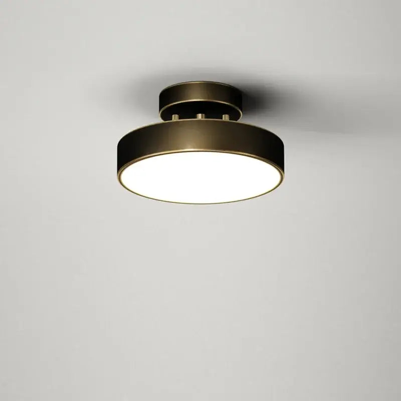 Modern circular brass led ceiling chandelier for living room