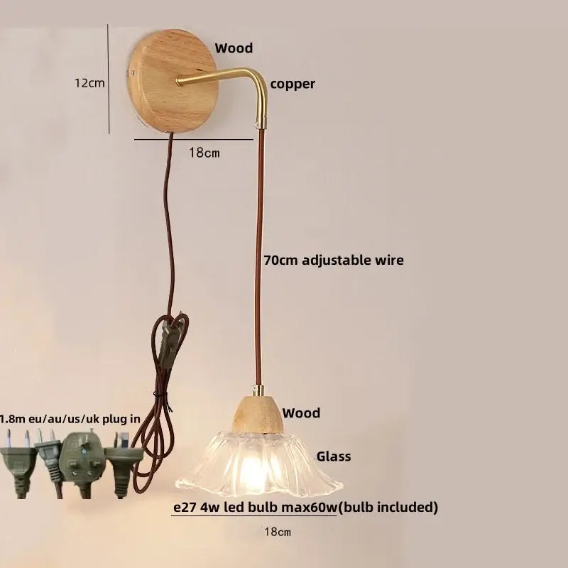 Modern copper and wood wall sconce with clear glass pull chain switch