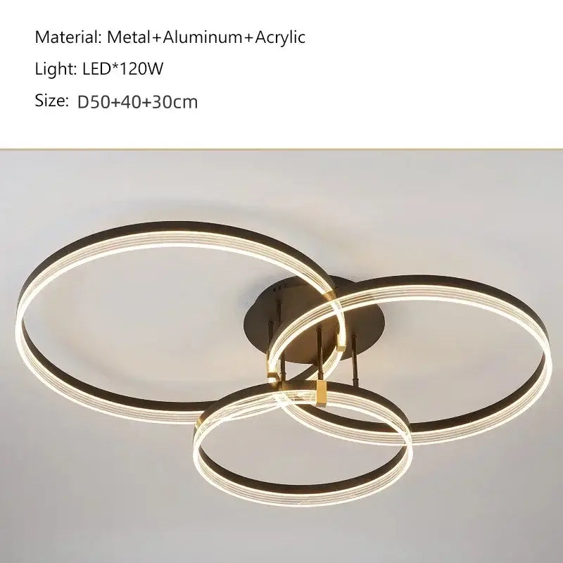 Modern gold acrylic round ring ceiling light for living room