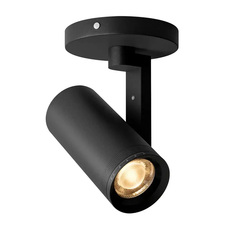 Modern matte black 12w dimmable led ceiling spotlight living room