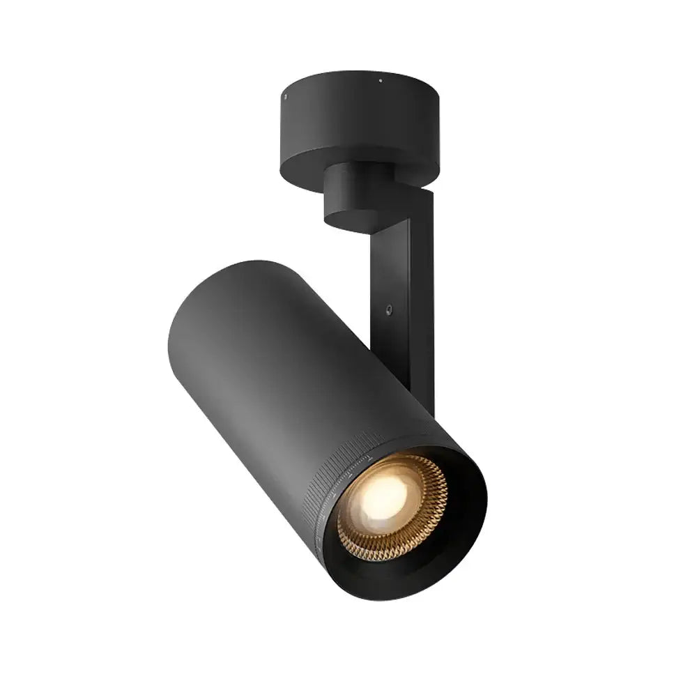 Modern matte black 12w dimmable led ceiling spotlight living room
