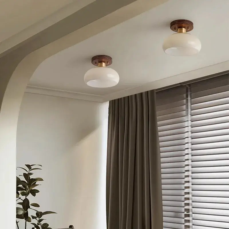 Modern matte dome ceiling lamp with led wood canopy living room