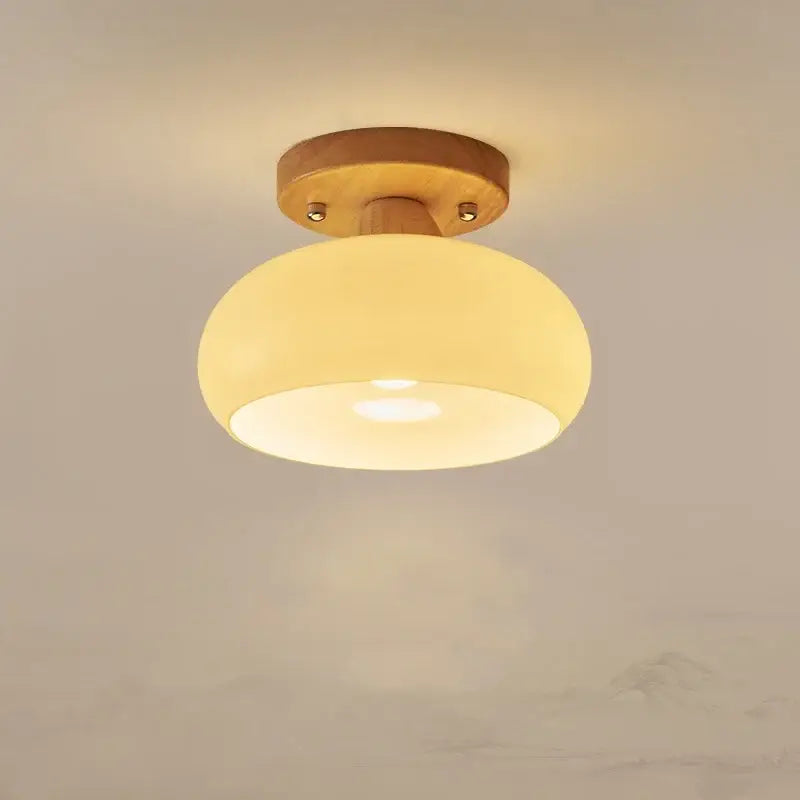 Modern matte dome ceiling lamp with led wood canopy living room