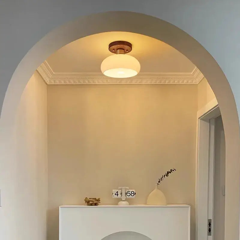 Modern matte dome ceiling lamp with led wood canopy living room
