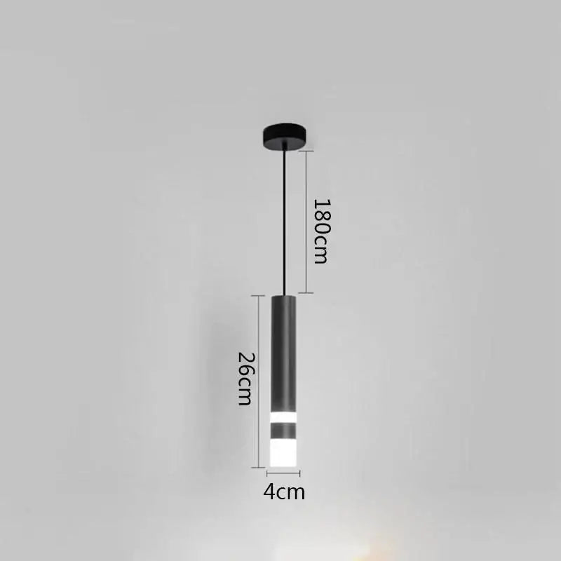 Modern minimalist black & white ring pendant lamp dining room led