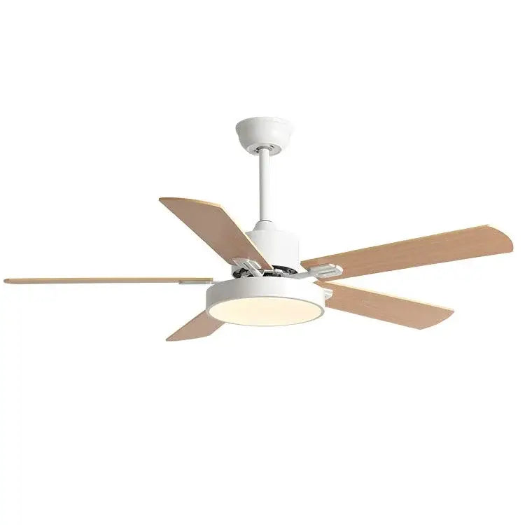 Modern sage green and natural wooden led ceiling fan living room