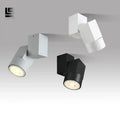 Modern white adjustable angle downlight living room spotlight fixture