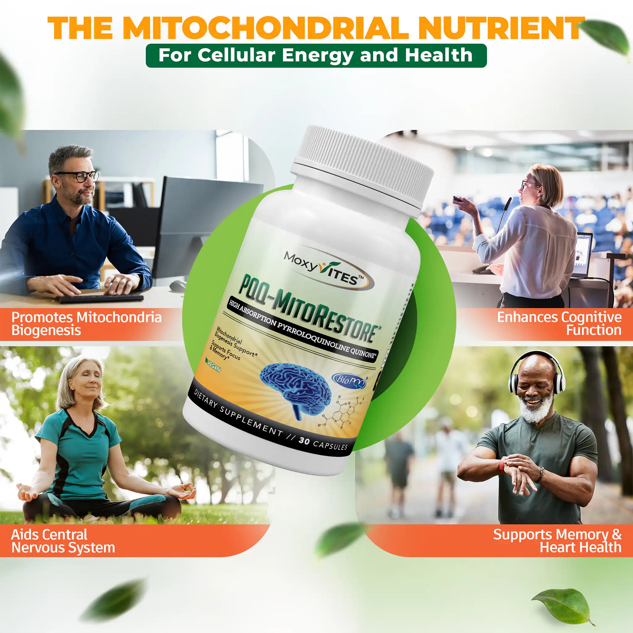BioPQQ® 20mg Mitochondrial Energy & Memory Support