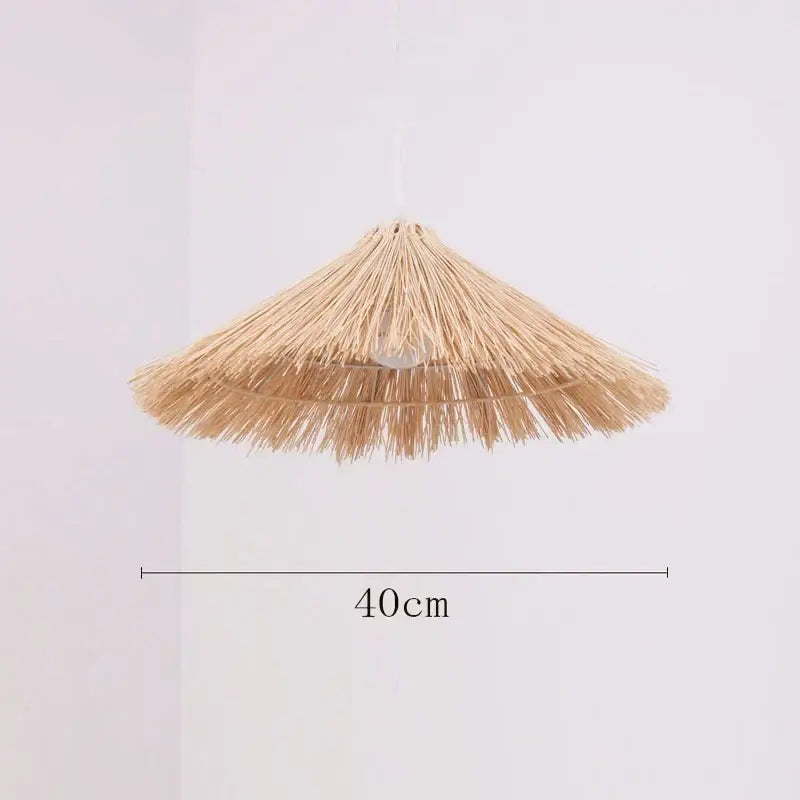 Natural woven rattan pendant light dining room straw hat chandelier