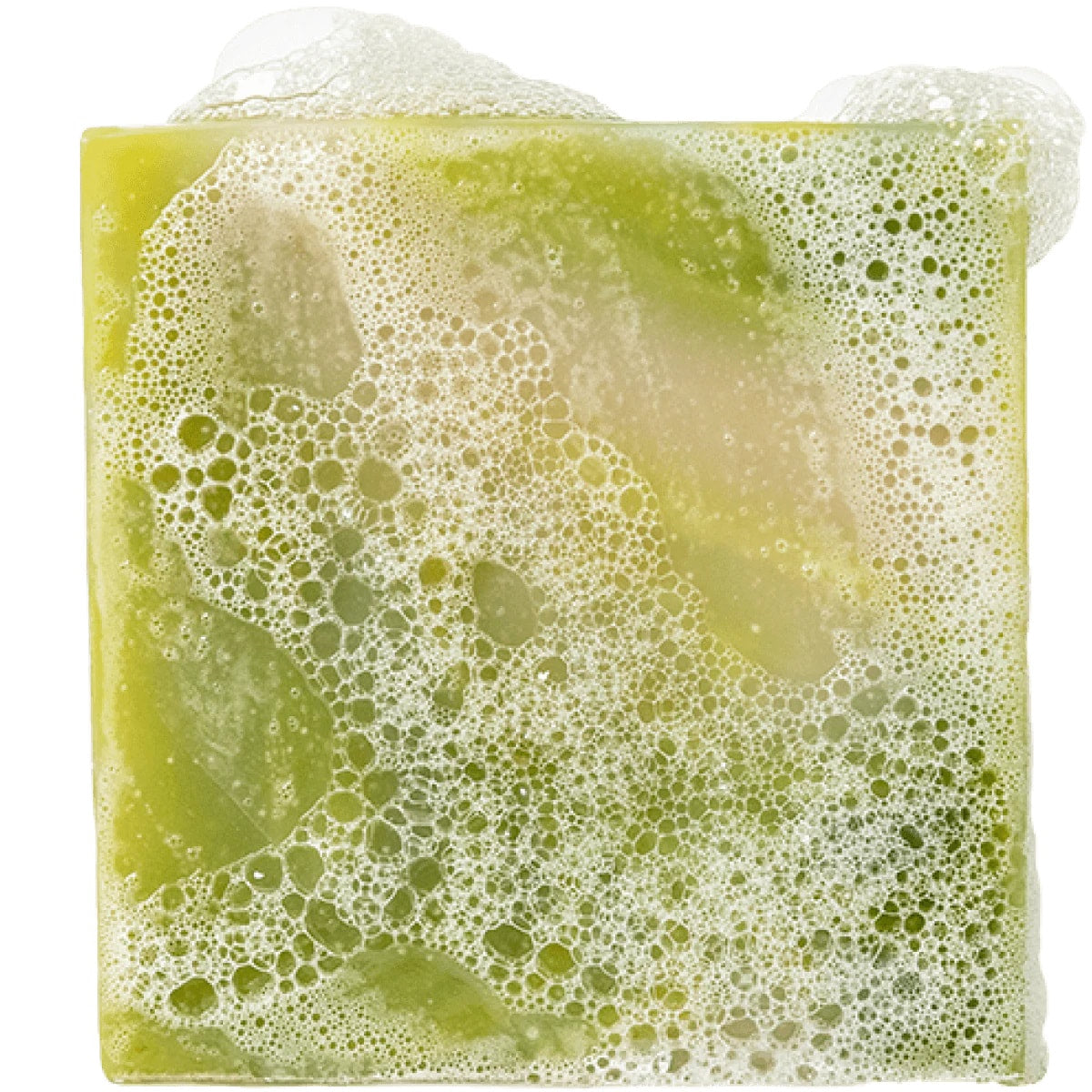 Dr Squatch - Cool Fresh Aloe