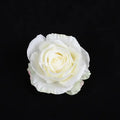 Pastel 30pcs silk roses wedding and living room floral decor
