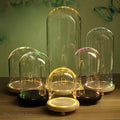 Pink and gold dry flower ornaments glass dome bedroom night light